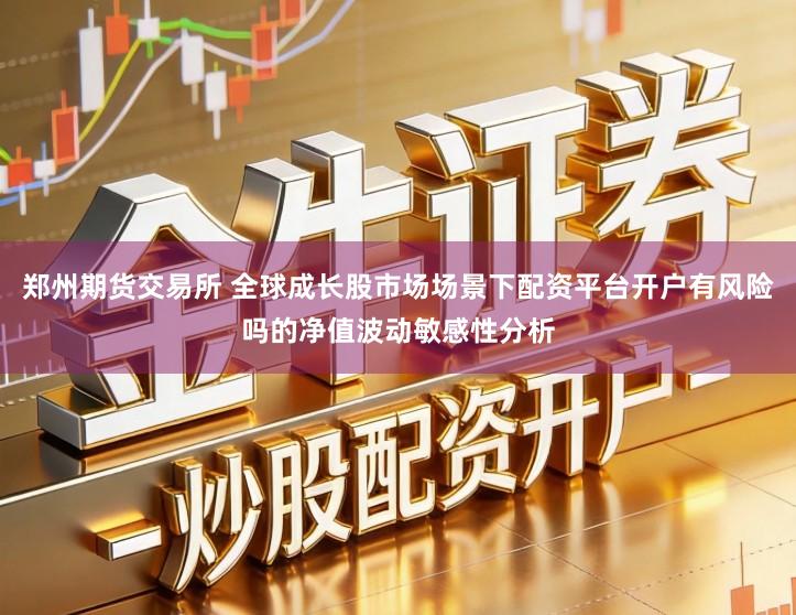 郑州期货交易所 全球成长股市场场景下配资平台开户有风险吗的净值波动敏感性分析